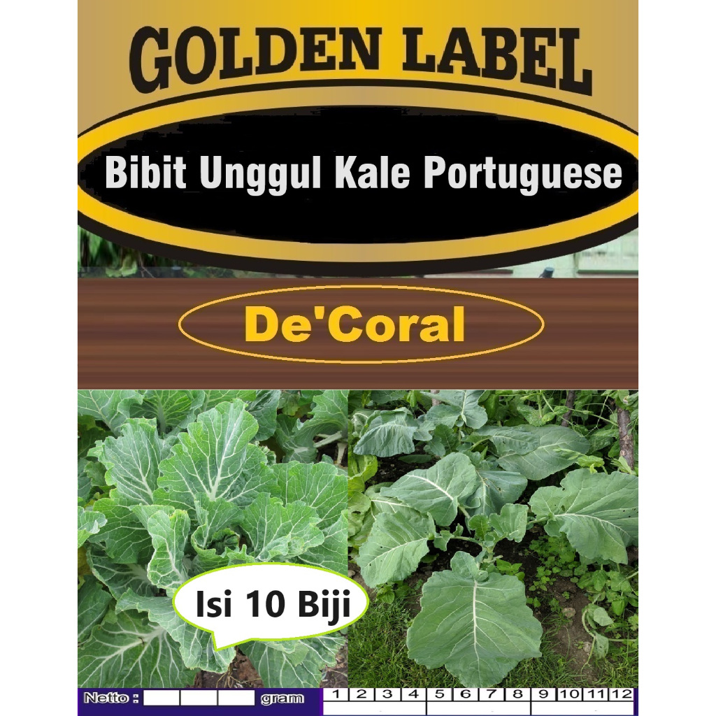 Bibit Unggul Kale Portuguese | Biji Benih Kale Portuguese | Sayur Kale