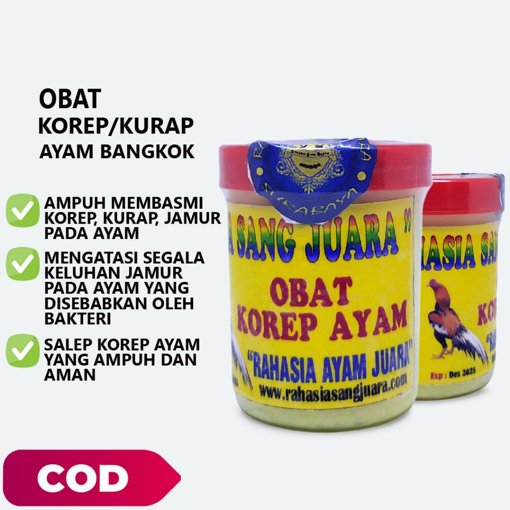 OBAT KOREP AYAM AMPUH MEMBASMI KOREP JAMUR PADA AYAM BANGKOK