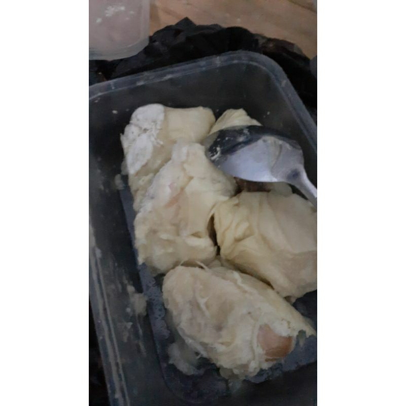 

paket usaha durian