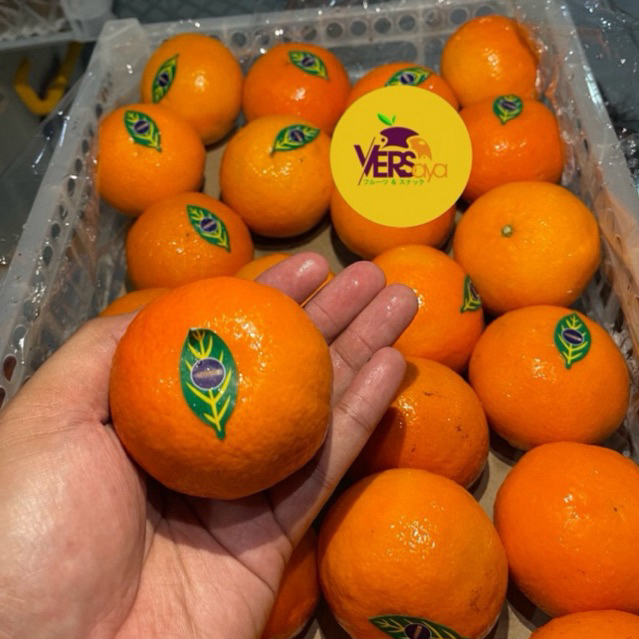 

Jeruk Wokam Wogan 1 kg