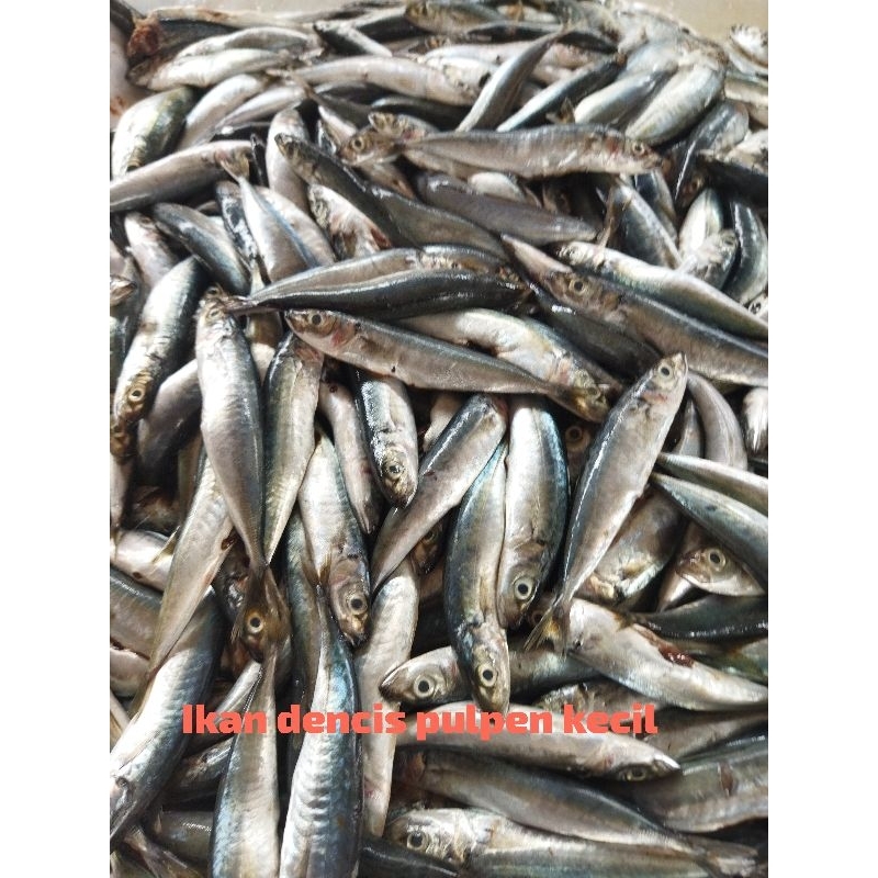 

Ikan dencis pulpen/kecil 1 kg