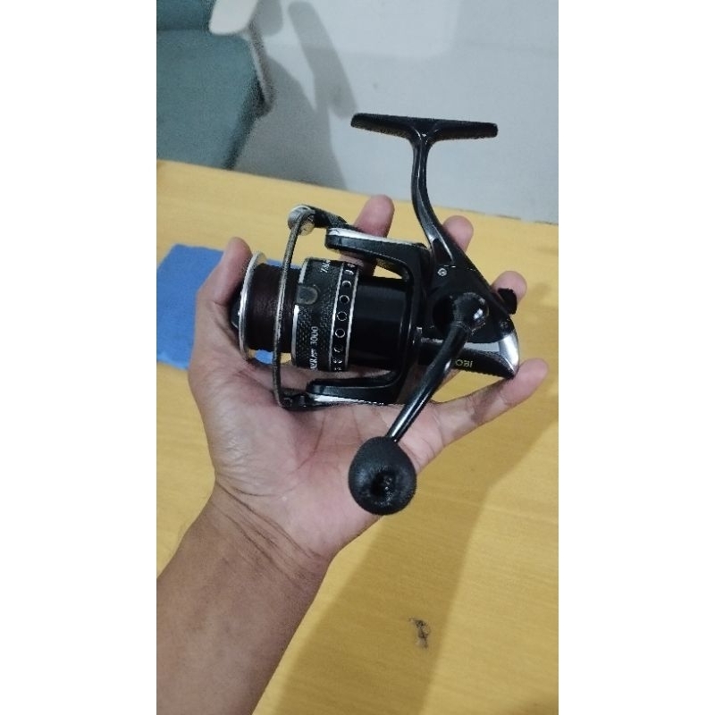 Ryobi Zauber Xp 3000