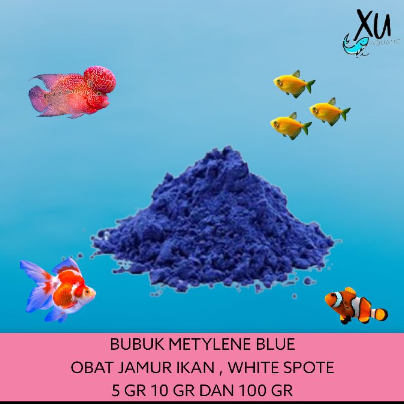 Harga Methylene Blue Bubuk Original Terbaru Mei 2026 | BigGo Indonesia