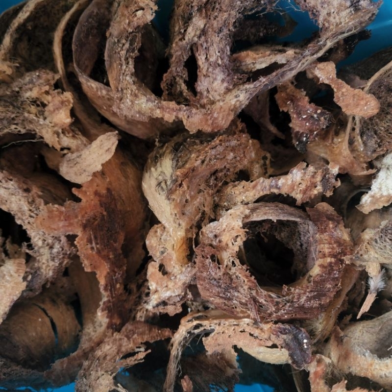 

Petani Asli! 50gr Sarang Burung Walet agak Coklat Kering 0