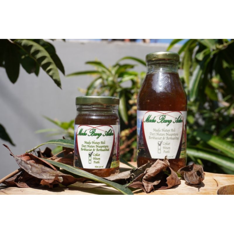 

MADU BANG ADIN 100% MADU HUTAN ASLI (120ml)