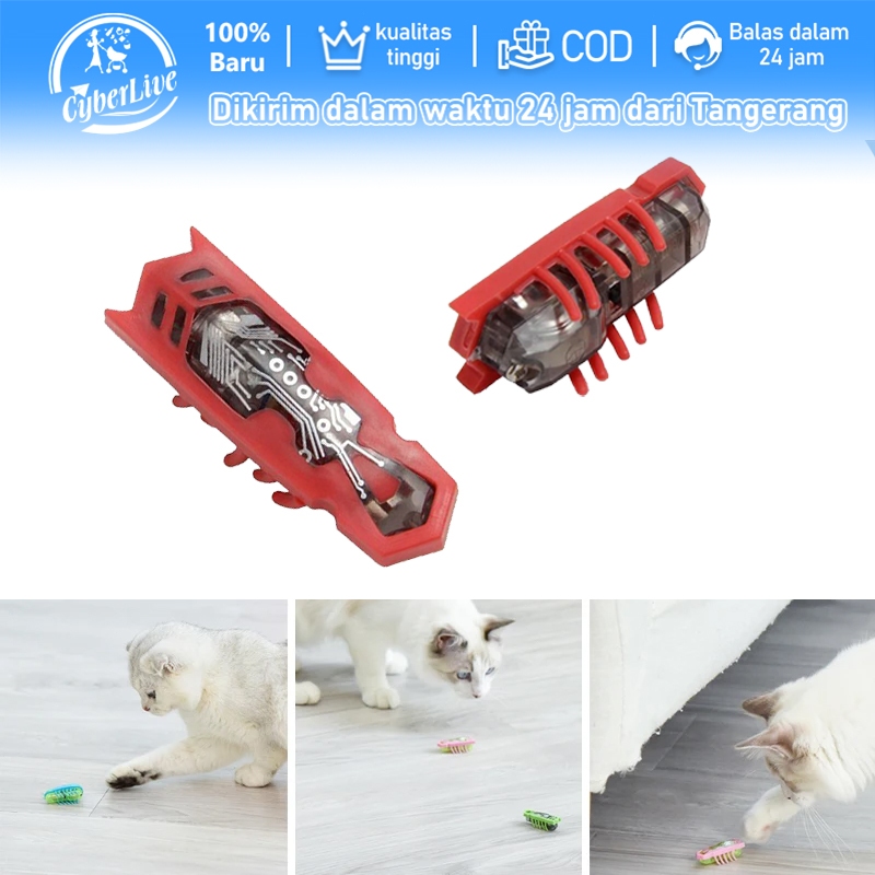 Mainan Kecoa Balap Racing  + Baterai Mainan Kecoa Robot Mainan Penggoda Kucing