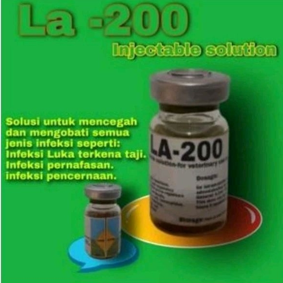 LA 200 ANTI BAKTERI DAN PENYAKIT DUGAL PADA AYAM SETELAH LAGA OBAT DUGAL OBAT INFEKSI