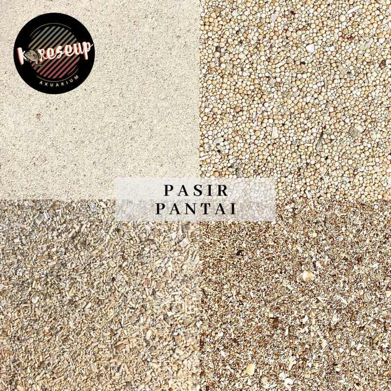 ANEKA PASIR PANTAI KUALITAS TERBAIK (1kg) PASIR BALI | PASIR PANTAI HALUS | PASIR RINJANI | PASIR SE