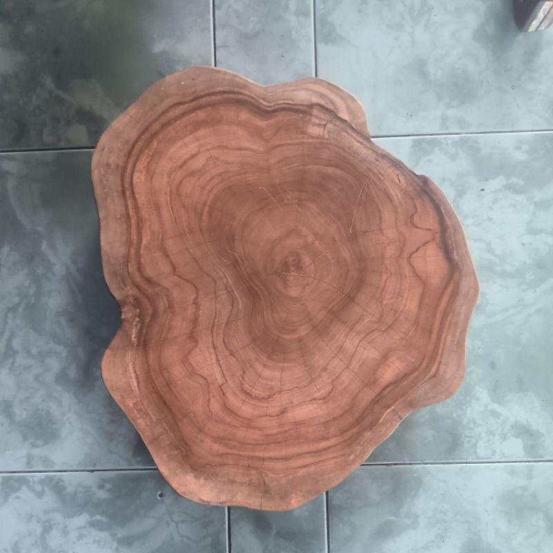 Wood Slice Jumbo / Talenan alami Kayu Jati