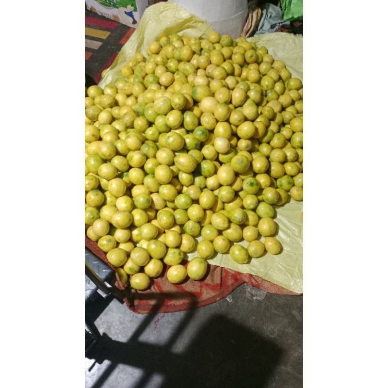 

jeruk lemon california