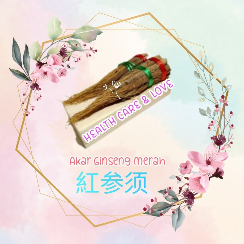 

Akar Merah Ginseng 紅参须 50 Gr