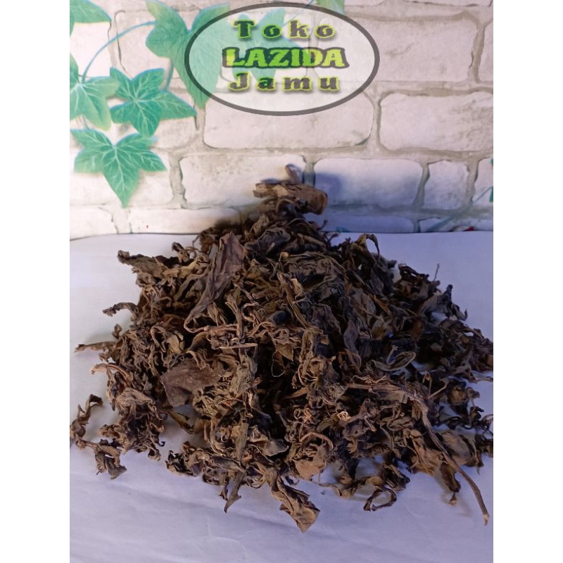 

daun sambung nyawa , daun sambung nyawa kering by TOKO JAMU LAZIDA