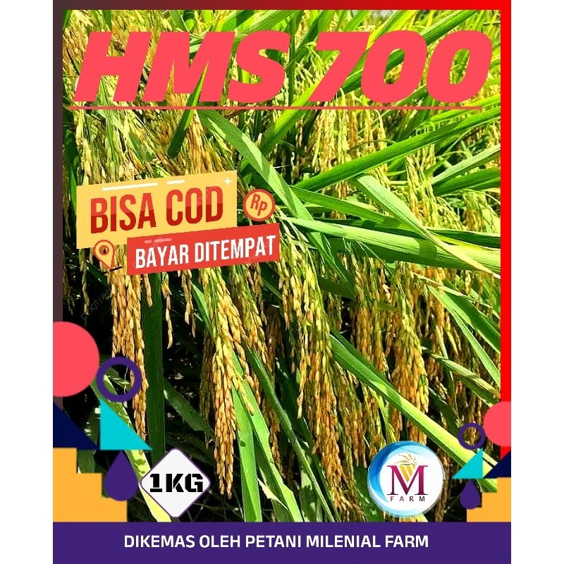 benih padi hms 700 kemasan 1kg