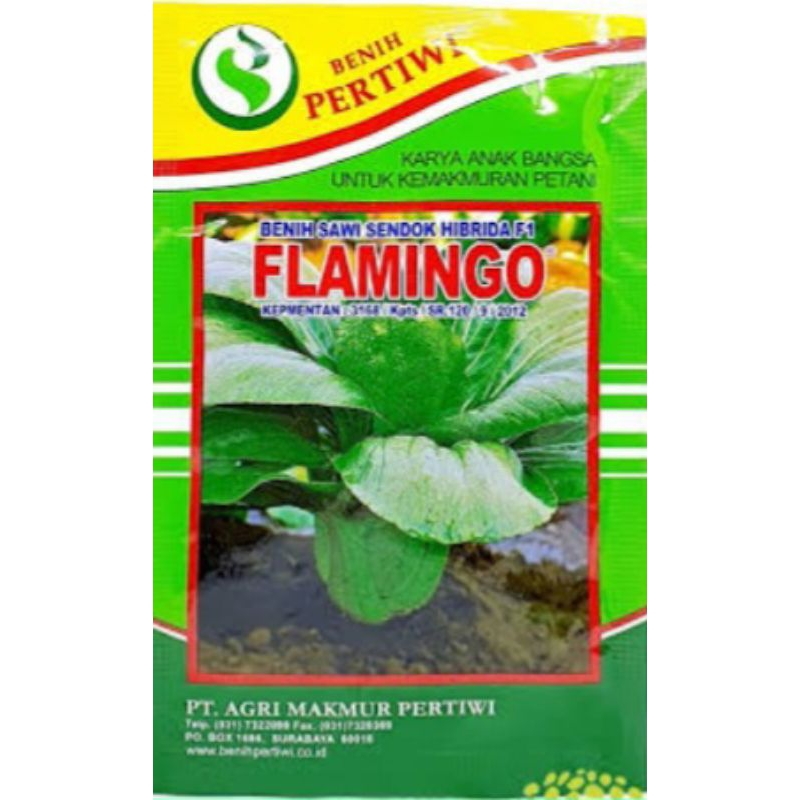 Bibit pakcoy flamingo