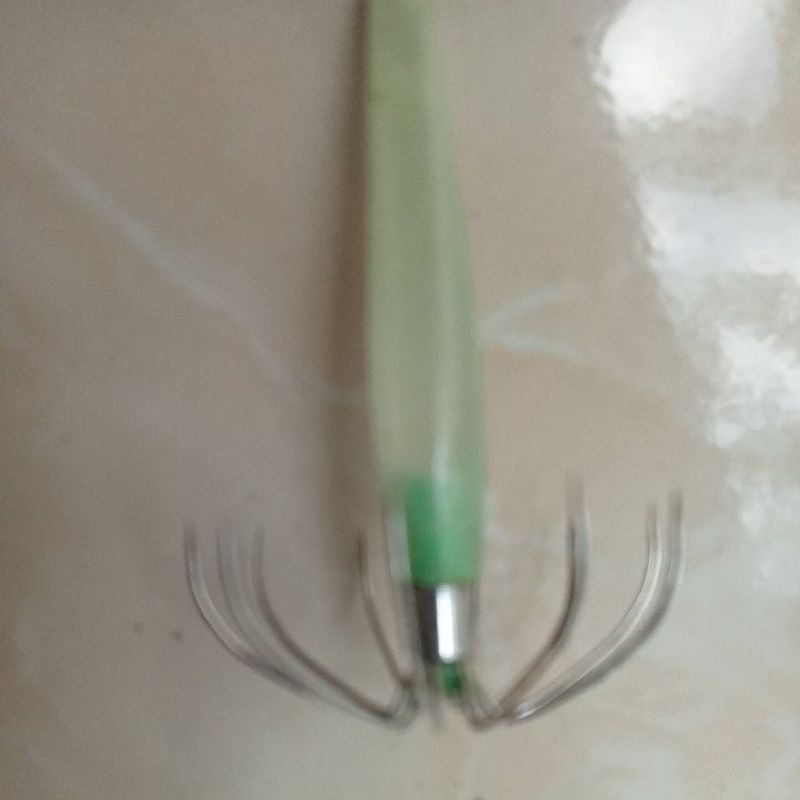 kail cumi-cumi bercahaya dalam gelap