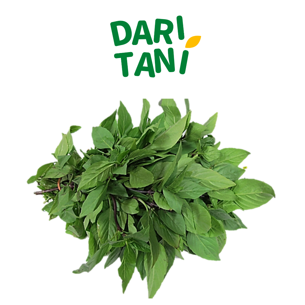 

DariTani Daun Kemangi 200 gr