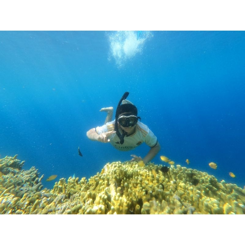 Open trip & private trip menjangan tabuhan banyuwangi
