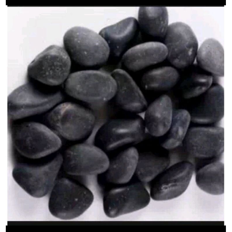 Black oval murni Batu Koral