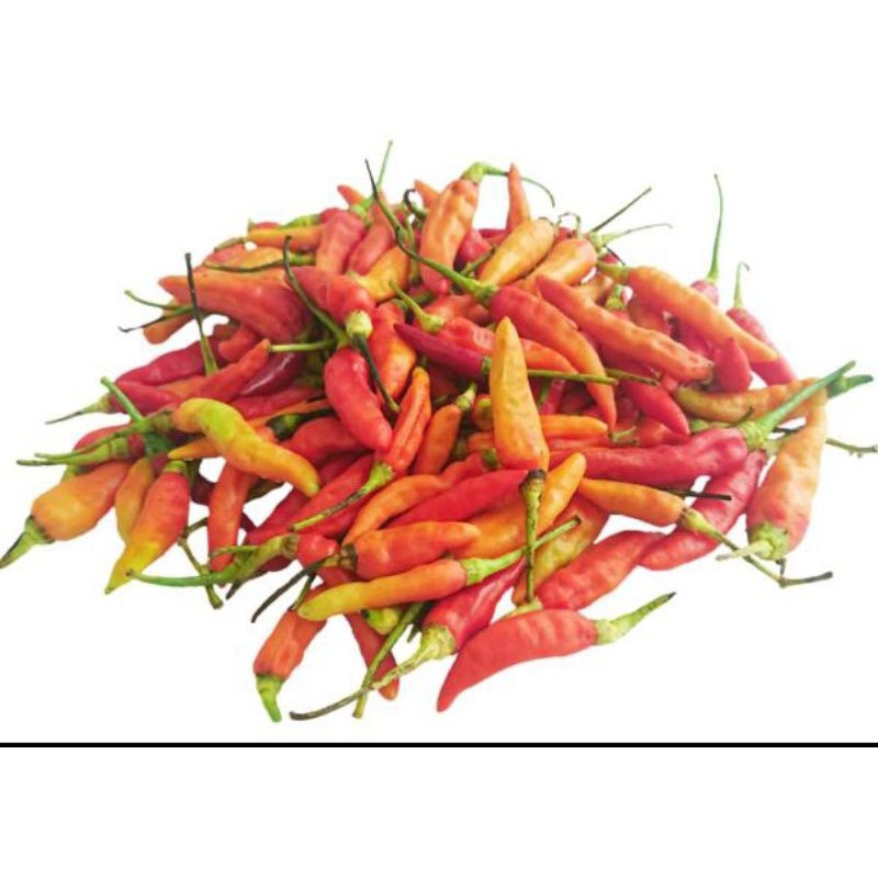 

cabe rawit merah pedas 100gr