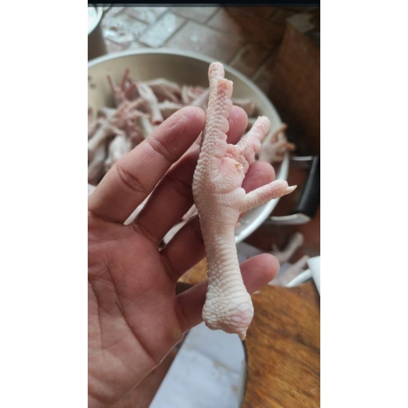 

CEKER PER KG, POTONG KUKU & BERSIH KULIT