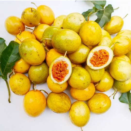 

Hafika Buah Markisa Kuning 1kg Buah Segar Manis Asam
