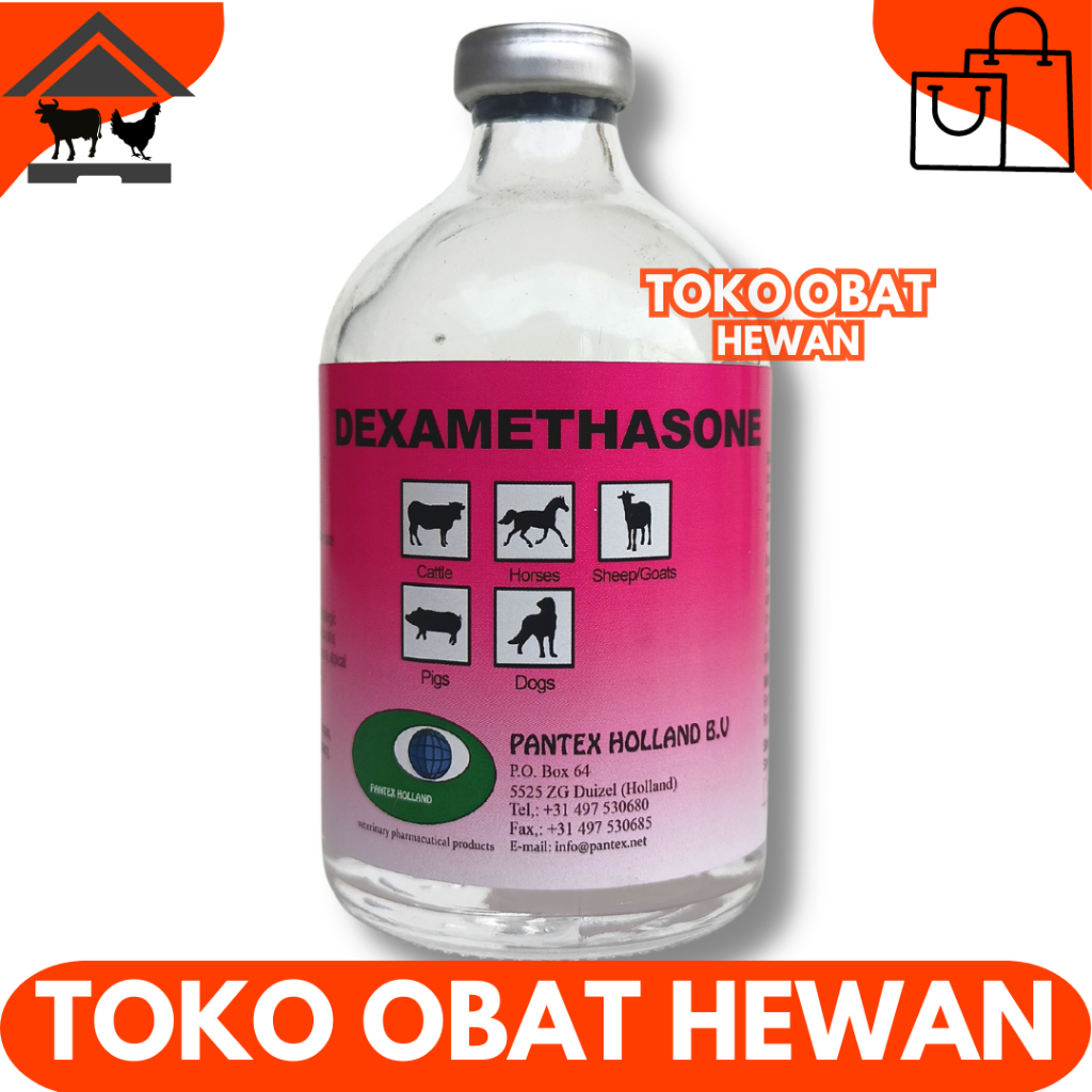 PANTEX DEXAMETHASONE 100 ML - Obat Injeksi Atasi Lumpuh Pincang Bengkak Cedera Pada Sapi Kambing Dom