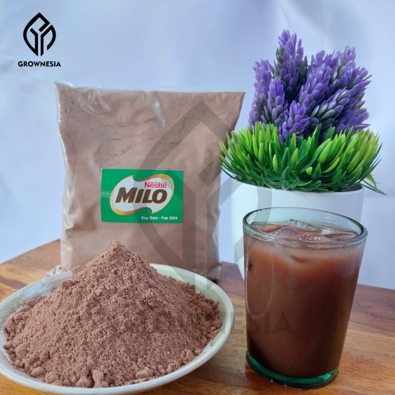 

Susu Bubuk Coklat Milo 1kg Bisa COD