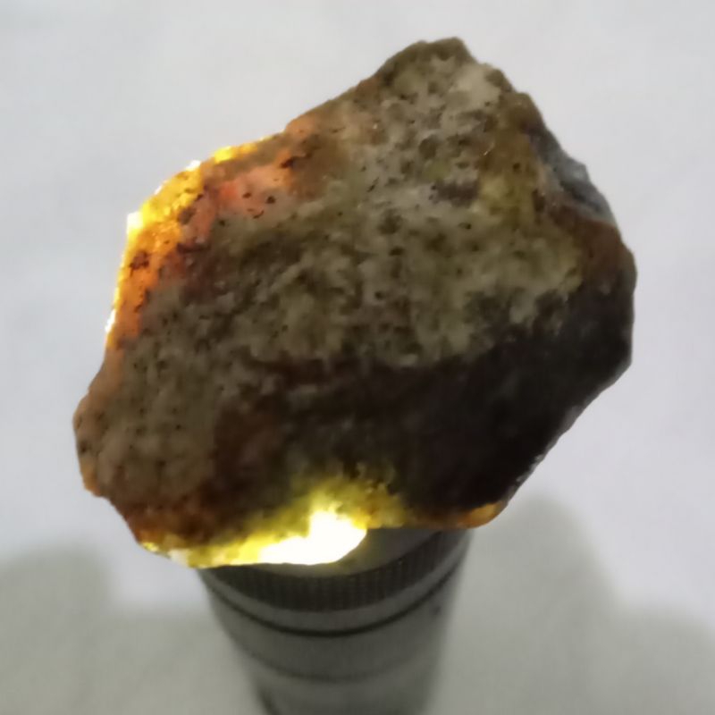 Original Bahan Bacan Coklat HQ