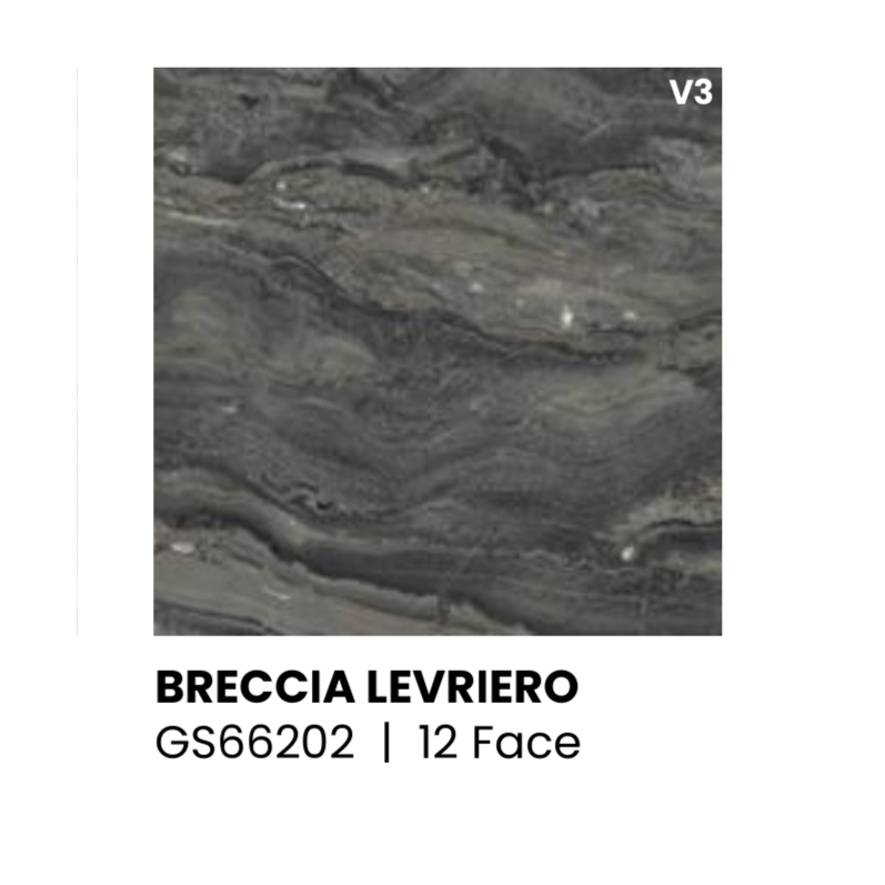 GRANIT SUNPOWER UKURAN 60X60 BRECCIA LEVRIERO