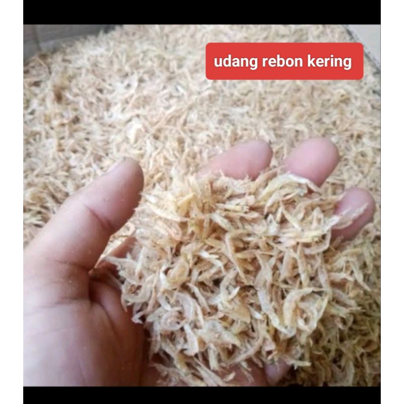 

Udang rebon kering