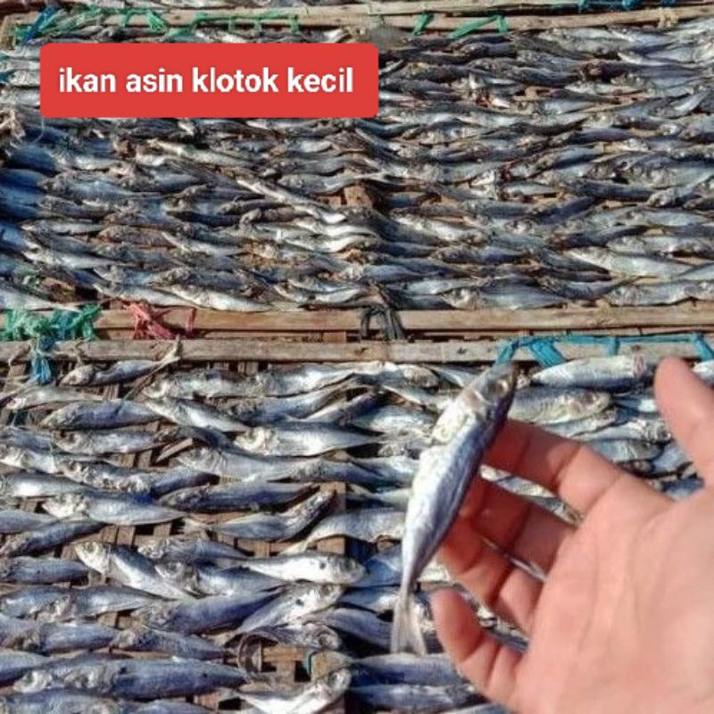 

klotok kecil 250gram