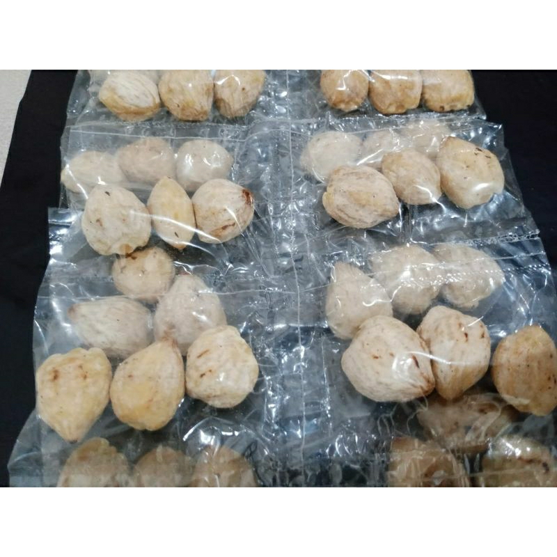 

Kemiri muncang bulat