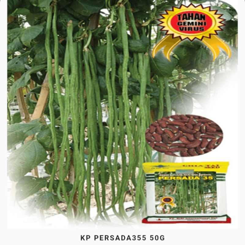 

Kacang Panjang Persada