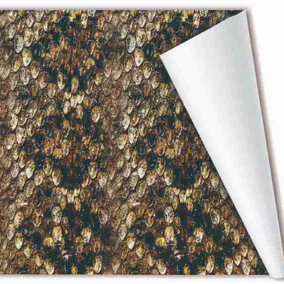 STIKER CAMO ULAR KOROS BERLAMINNASI DOFF MAKIN TEBAL DAN AWET