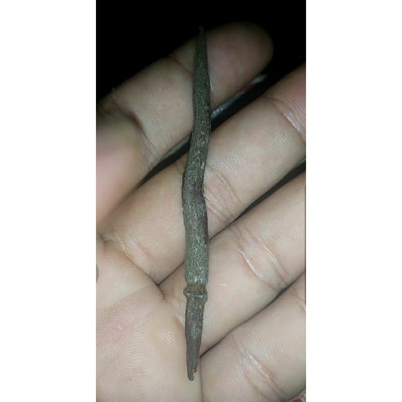 JIMATAN TUMBAK CACING KANIL SEPUH