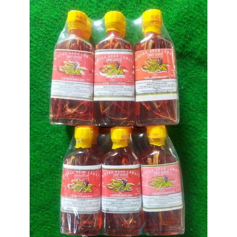 Minyak Akar Lawang Cendrawasih Asli Papua Netto 100ml Original/Minyak Urut,Minyak Massage/Minyak Ser