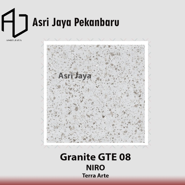 Niro Granite 60x60 Terra Arte - GTE08 Bernini