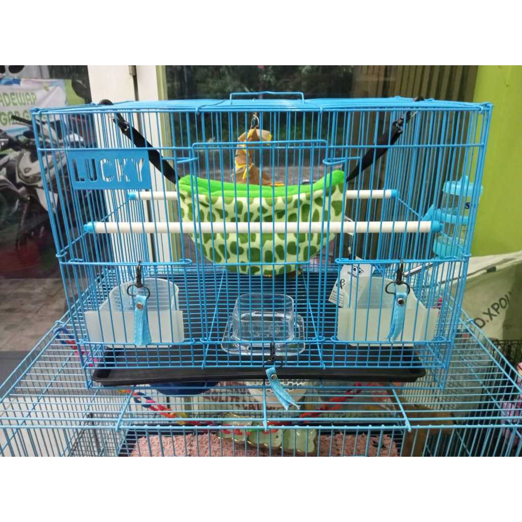 ADEWAP GLIDER Kandang Besi Lipat Hewan Small Plus Sugar Glider Burung Tupai Kelinci