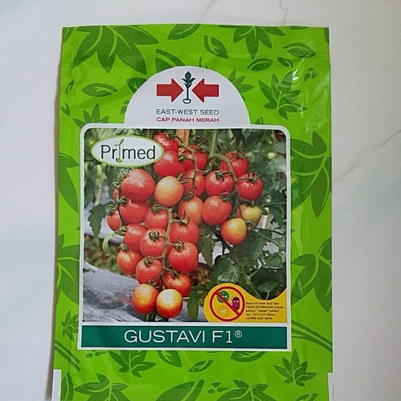 Benih bibit Tomat Hibrida GUSTAVI F1 1750 butir