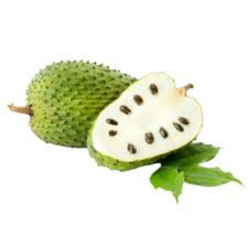 

Buah Sirsak Srikaya buah sirkaya mores sirsak