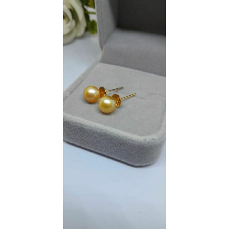Giwang Emas Mutiara Laut Deep Gold