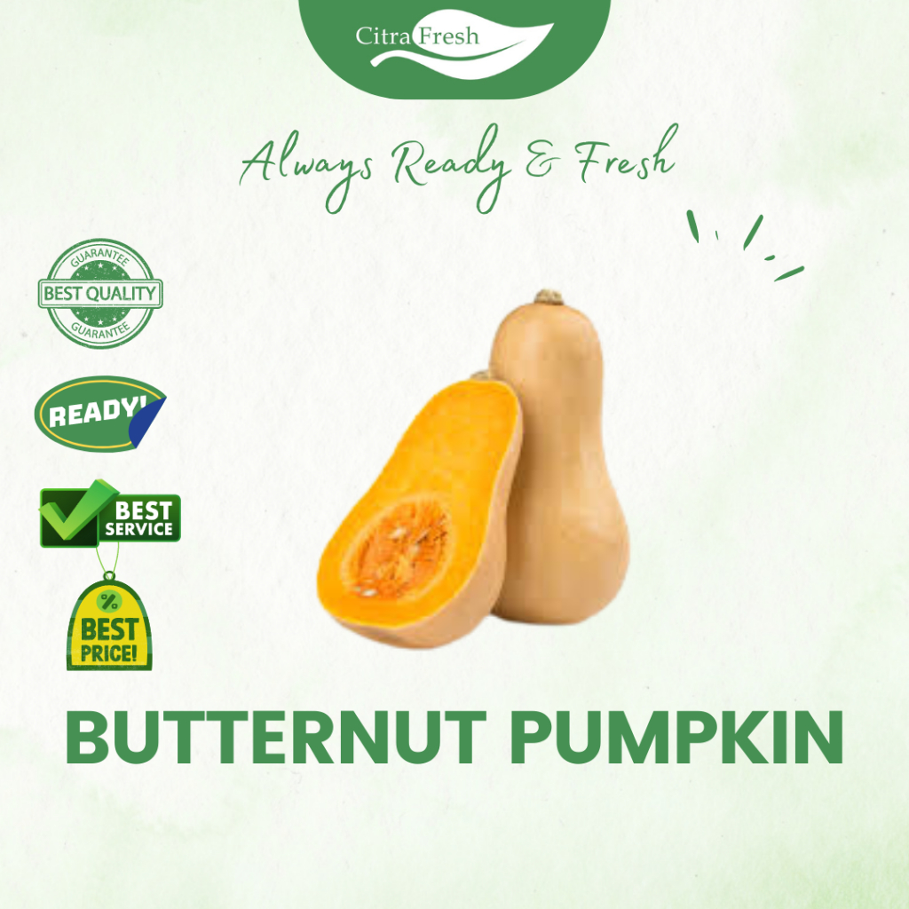 

CITRA FRESH - Butternut pumpkin 500-600 Gram - Selalu Ready dan Fresh