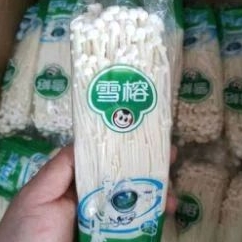 

JAMUR ENOKI