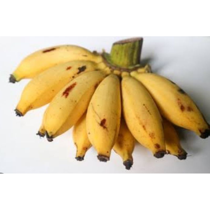 

Pisang Unyil Pisang Kecil Pisang Emas