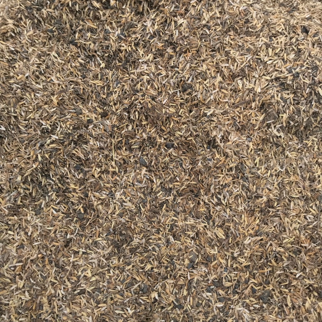 media tanaman kaktus sukulen 1/2KG