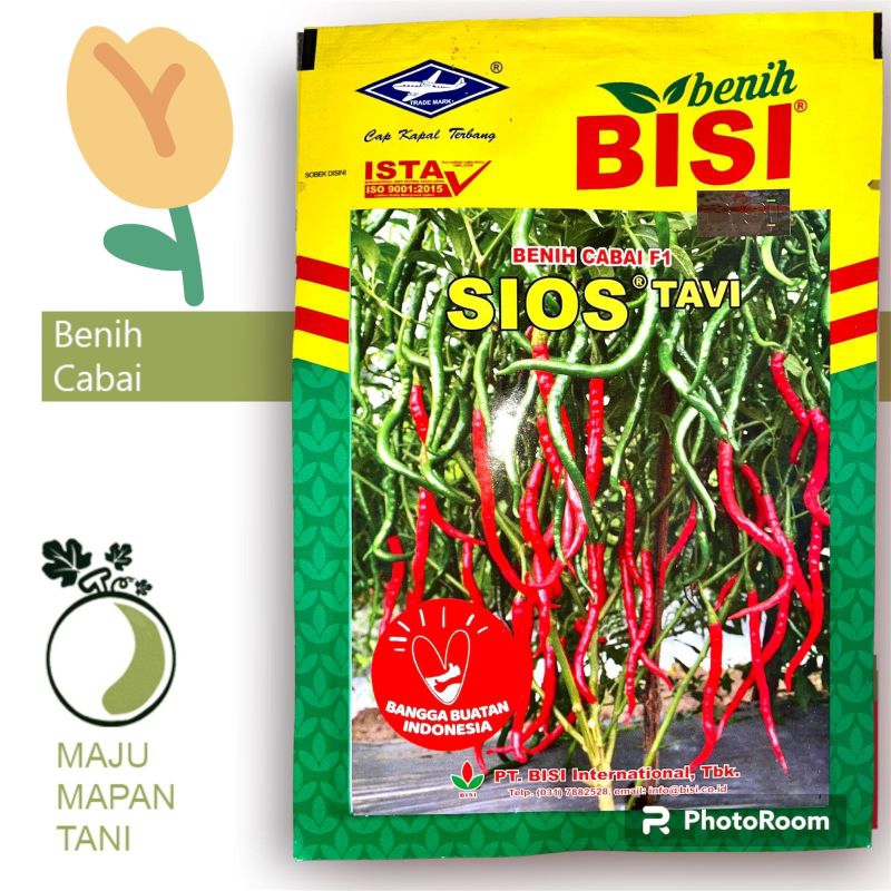 Benih Bibit Cabai Keriting Sios Tavi F1
