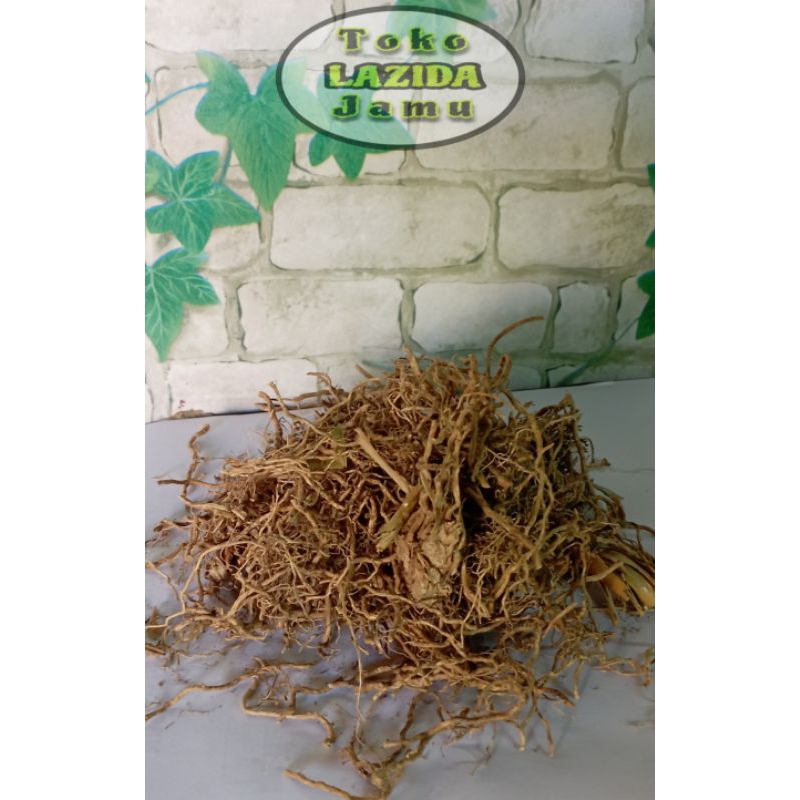 

akar wangi // akar kayu wangi // akar sere lanang TOKO JAMU LAZIDA