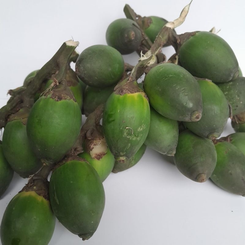 

BUAH PINANG MUDA FRESH/JAMBE HERBAL 500gram, buah pinang muda fresh/jambe herbal 500gram