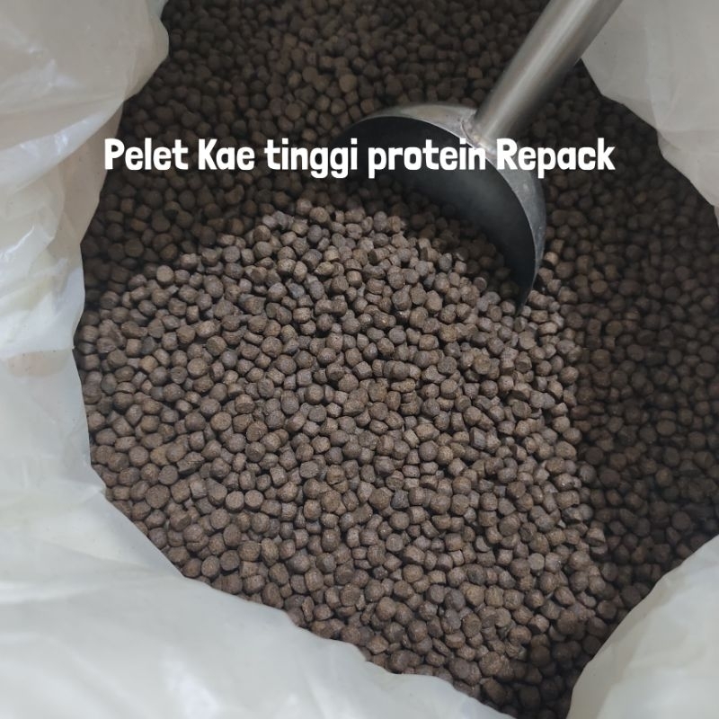 REPACK 500gr Pakan PA STP ΚΑΕ 3 5 7 5mm Makanan Ikan Koi Kakap Tinggi Protein 52% MEGAMI Pakan Ikan 