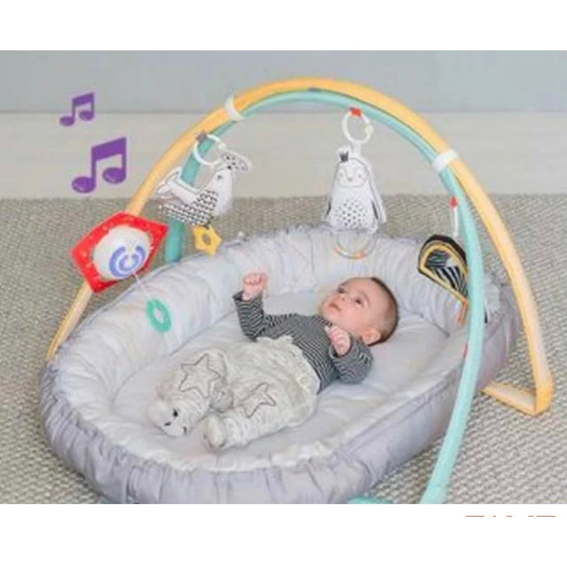 Taf Toys Musical Newborn Cosy Gym